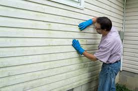 Best Vinyl Siding Installation  in Eastlake, OH